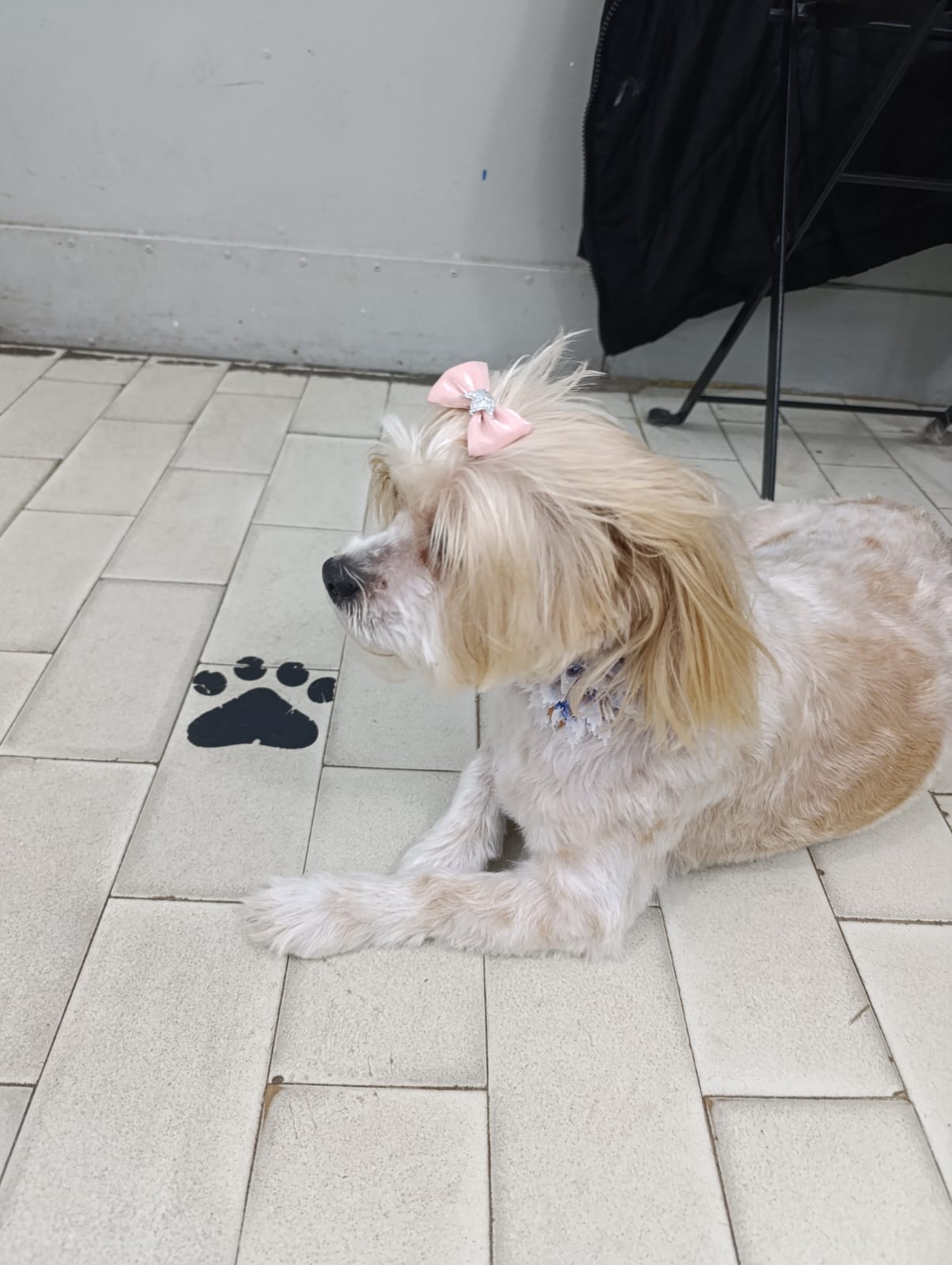 Grooming primjer 5